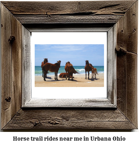 horse trail rides near me in Urbana, Ohio